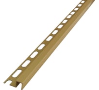 Профиль РУССКИЙ ПРОФИЛЬ РП-АКП-16-10 2.7 м, анодированное, золото матовый, 10 штук 4680427096358