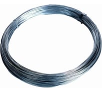 Проволока ООО ПКФ Сварком д0.8, оцинкованная сталь, ГОСТ 3282-74, 50м, 1 шт. k00017868