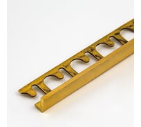 Профиль окантовочный латунный Progress profiles spa 10 мм, 2,7 м УТ000058292