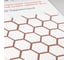 Эпоксидная затирка DEFENCE CHEMICALS C260 терракотовый, 1 кг EZ_260 3