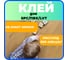Контактный дисперсионный клей Паркетчик PRO для SPC, LVT 6 кг 219988 7