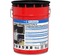 Гидроизоляционная мастика Profimast 5 л / 4,5 кг 4607952900646