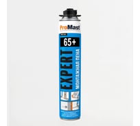 Профессиональная монтажная пена под пистолет Expert ProMast PMF520R00W