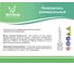 Разбавитель для органических красок Мицар 0.5 л УТ000014330 3