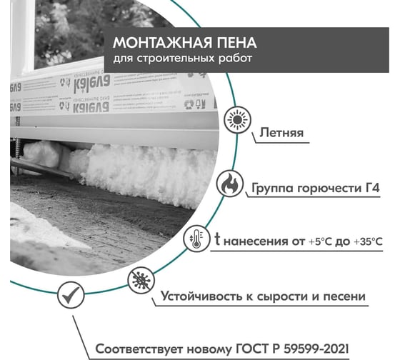 Пена полиуретановая монтажная профессиональная летняя DONEWELL 65 DPP10S65