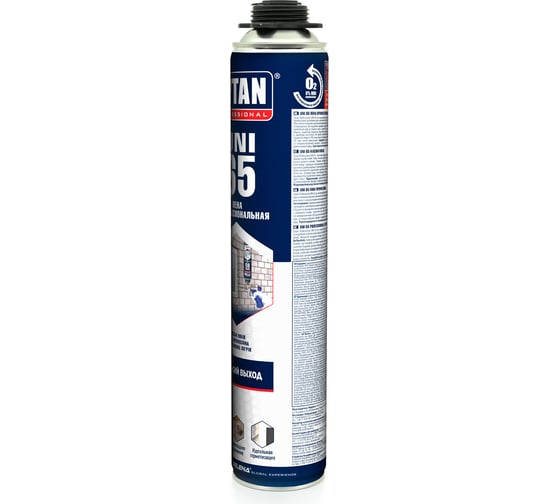 Профессиональная пена Tytan PROFESSIONAL 65 UNI летняя, 750 мл 16968 244037