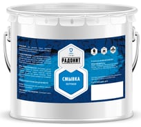 Смывка РАДОНИТ погружная, 3 л ZLK07138