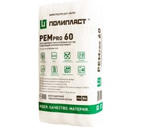 Ремонтный тиксотропный состав Полипласт РЕМпро 60 25 кг RemPro60