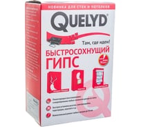 Быстросохнущий гипс Quelyd 1 кг тов-151960