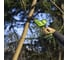 Пила сабельная GreenWorks GPT-CRS-25, 24V, б/щет, 0-3000/мин, рез 80мм по дереву, LED, 1x2Ач, ЗУ, коробка 1200507VUA 11