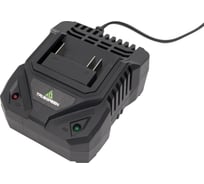 Зарядное устройство TRUEGREEN TG8M248