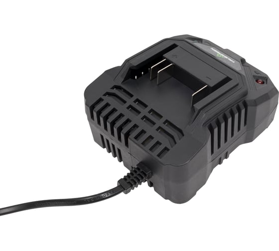 Зарядное устройство TRUEGREEN TG8M248