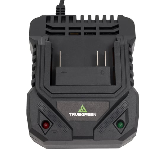 Зарядное устройство TRUEGREEN TG8M248