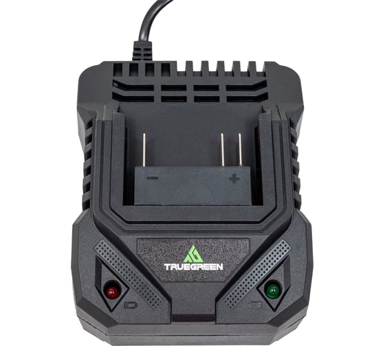 Зарядное устройство TRUEGREEN TG8M248