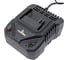 Зарядное устройство TRUEGREEN TG8M248 2