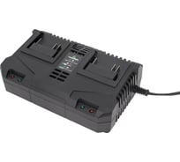 Зарядное устройство TRUEGREEN TG8M250