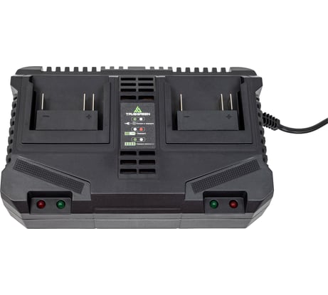 Зарядное устройство TRUEGREEN TG8M250