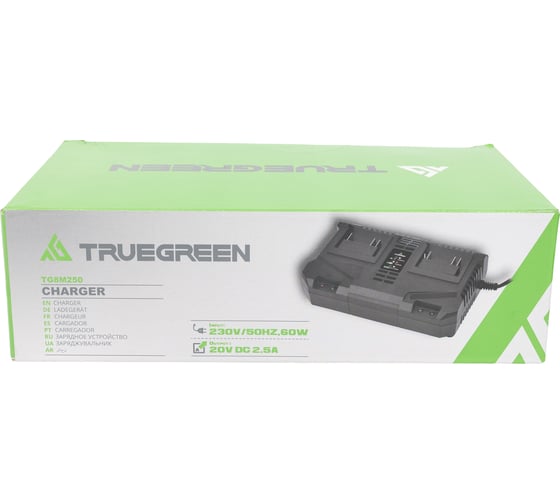 Зарядное устройство TRUEGREEN TG8M250
