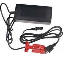 Зарядное устройство TOR для тележек EPT 48V/2A (Charger 10301184) 1006178