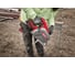 Аккумуляторная циркулярная пила по металлу Milwaukee M18 FMCS66-121C FUEL 66 мм 4933472111 7