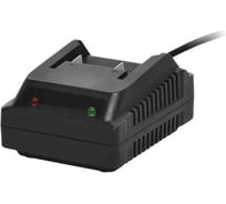 Зарядное устройство для аккумуляторов SAFUN SF8M245