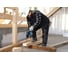 Аккумуляторный перфоратор Bosch GBH 36 V-LI COMPACT 0.611.903.R08 4