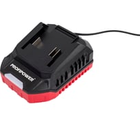 Зарядное устройство для Li-ion аккумуляторов Profipower LI-18F 2.0Ач A1163