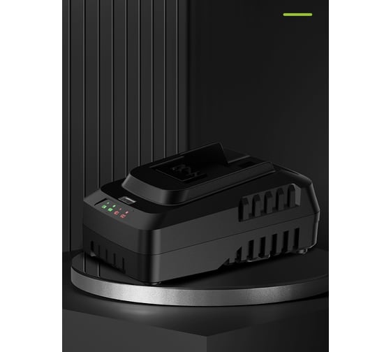 Набор аккумулятор и зарядное устройство DELI Innolink DL-CM20A2E (2 Акб, 20Вх2Ач + ЗУ, Li-ion) 163047
