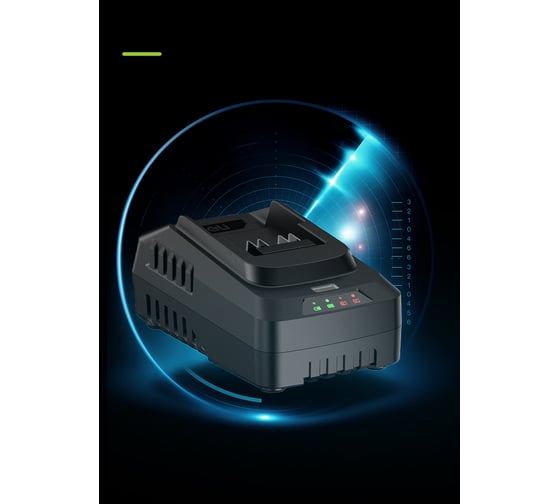 Набор аккумулятор и зарядное устройство DELI Innolink DL-CM20A4E (2 Акб, 20Вх4Ач + ЗУ, Li-ion) 163064