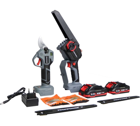 Аккумуляторный бесщеточный набор Profipower 2в1 ProfiSet-2G20 (Li-ion-2шт 20В, 2.0Ач, З/У, в кейсе, E0099, E0216) E0217 1