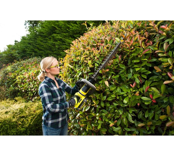 Аккумулятор 36В 2.0 А*ч RY36B20B Ryobi 5133005548