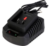 Зарядное устройство ДИОЛД ЗУ-20Л (семейка) 20В 5000мА 90022013