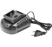 Устройство зарядное для батарей аккумуляторных Thorvik TBCS2025 053985