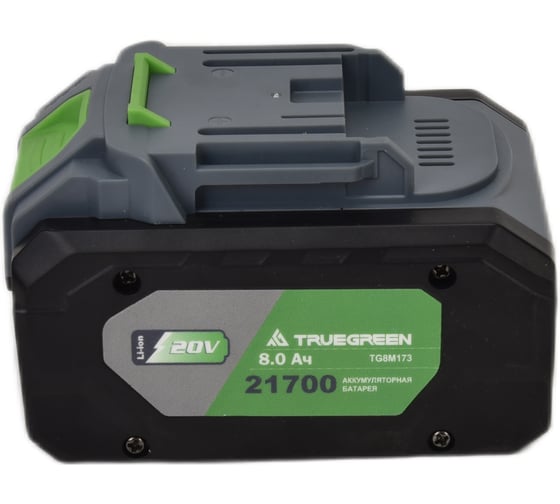 Аккумулятор TRUEGREEN TG8M173-2