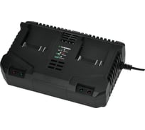 Зарядное устройство TRUEGREEN TG8M250-2