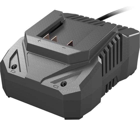 Зарядное устройство 60 В TRUEGREEN TG8M256