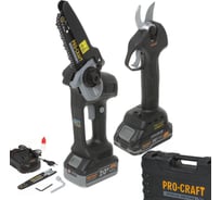 Набор аккумуляторного инструмента PROCRAFT Professional (CP20+CCS20) Кейс PS210SET