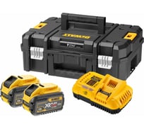 Набор Dewalt: 2 АКБ DCB548, Li-Ion, 18/54 В, 12/4 Ач и быстрое зарядное устройство DCB118, 18/54 В, 8 А, в кейсе TSTAK, DCB118Y2T DCB118Y2T-QW