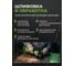 Машина шлифовальная угловая аккумуляторная GRUWALMER GW 20-10R 7