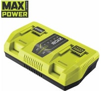 Зарядное устройство RY36C2PA 36В Ryobi 5133005741