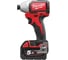 Набор Milwaukee M18 BLPP2B-502C 4933448451 3
