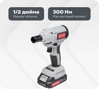 Гайковерт аккумуляторный Ресанта АГ-300/20L (в комплекте 2 АКБ и ЗУ) в кейсе 75/24/3