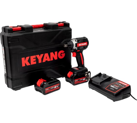 Аккумуляторный ударный гайковерт-винтоверт KEYANG 2 АКБ 5 А*ч DW20BLH-315 (Set) 1