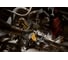 Аккумуляторный угловой гайковерт DEWALT DCF503N, 12В, 81.3Нм, 250об/мин, без аккумулятора и зарядного устройства DCF503N-XJ 7
