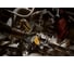 Аккумуляторный угловой гайковерт DEWALT DCF503B, 12 В, 81.3 Нм, 250 об/мин, без АКБ и ЗУ DCF503B-XJ 7