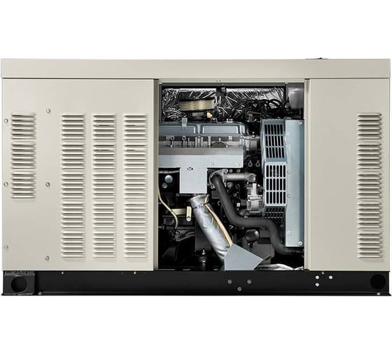 Газовый генератор Generac RG 02224 RNAX