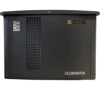Электроагрегат газопоршневой CG18000TSA в кожухе CTG 4687204619076