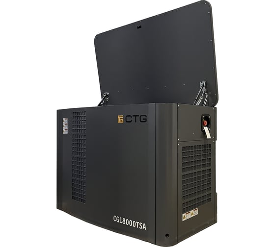 Электроагрегат газопоршневой CG18000TSA в кожухе CTG 4687204619076