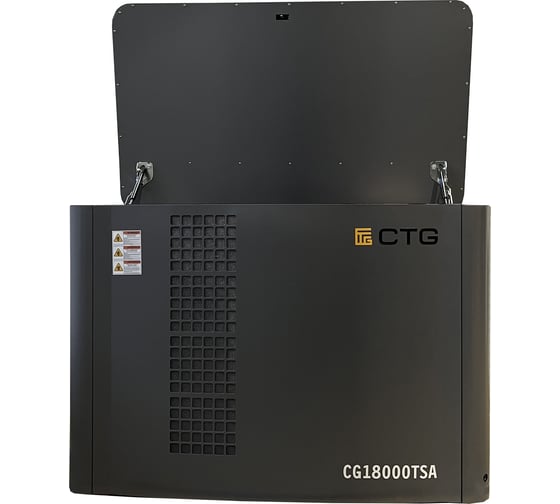 Электроагрегат газопоршневой CG18000SA в кожухе CTG 4687204619069