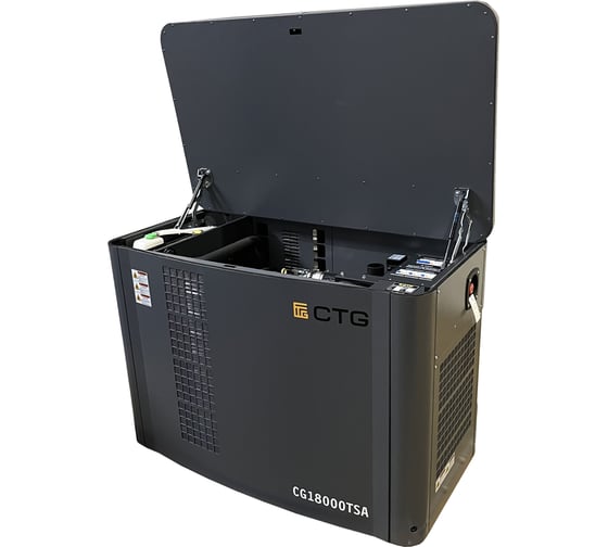 Электроагрегат газопоршневой CG18000SA в кожухе CTG 4687204619069